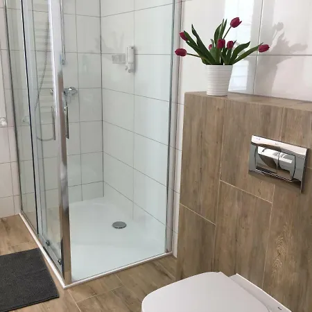 Ap 8 * ブィドゴシュチュ