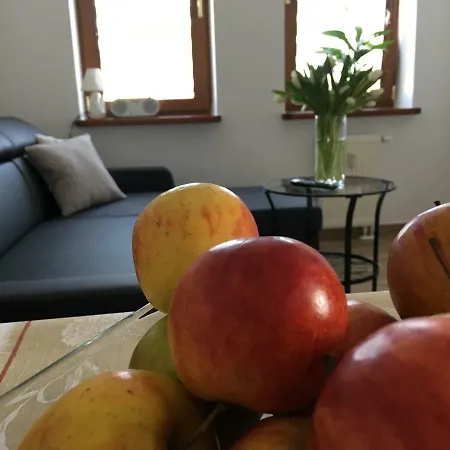 Ap 8 Apartment Czestochowa