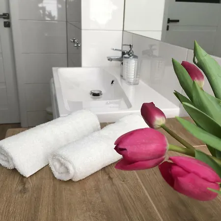 Ap 8 Appartement Częstochowa