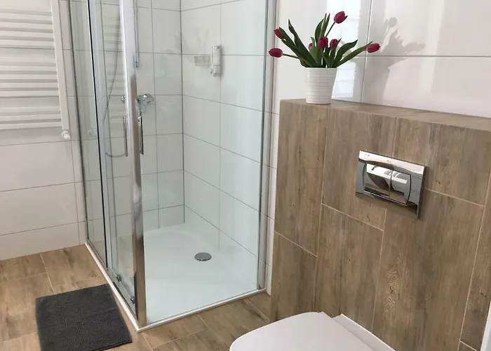 Ap 8 * צ'סטוצ'ובה