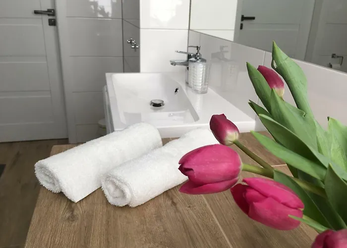 Ap 8 דירה צ'סטוצ'ובה